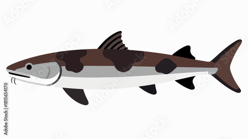 Fish illustration vector diagram