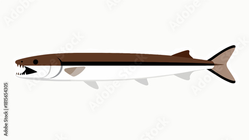 Fish illustration vector diagram