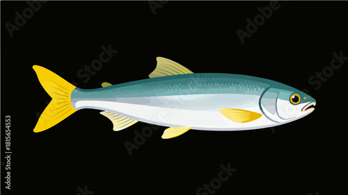 Fish illustration vector diagram