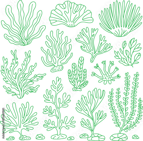 Hand-drawn green outline collection of various marine seaweed