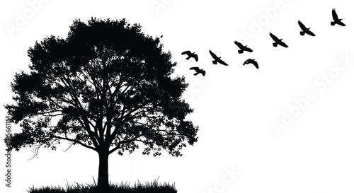 Silhouette of a magnificent, full-canopied tree on a grassy hill with a flock of birds flying in formation, depicting nature, freedom, environment, wildlife, and natural scenery.