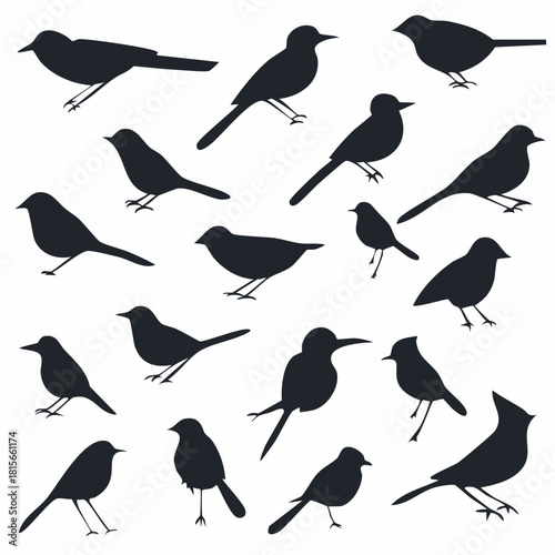 Stylized dark bird silhouettes in various standing and perching poses featuring diverse avian forms and shapes.