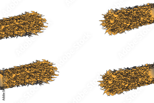 sunflower seeds isolated on white