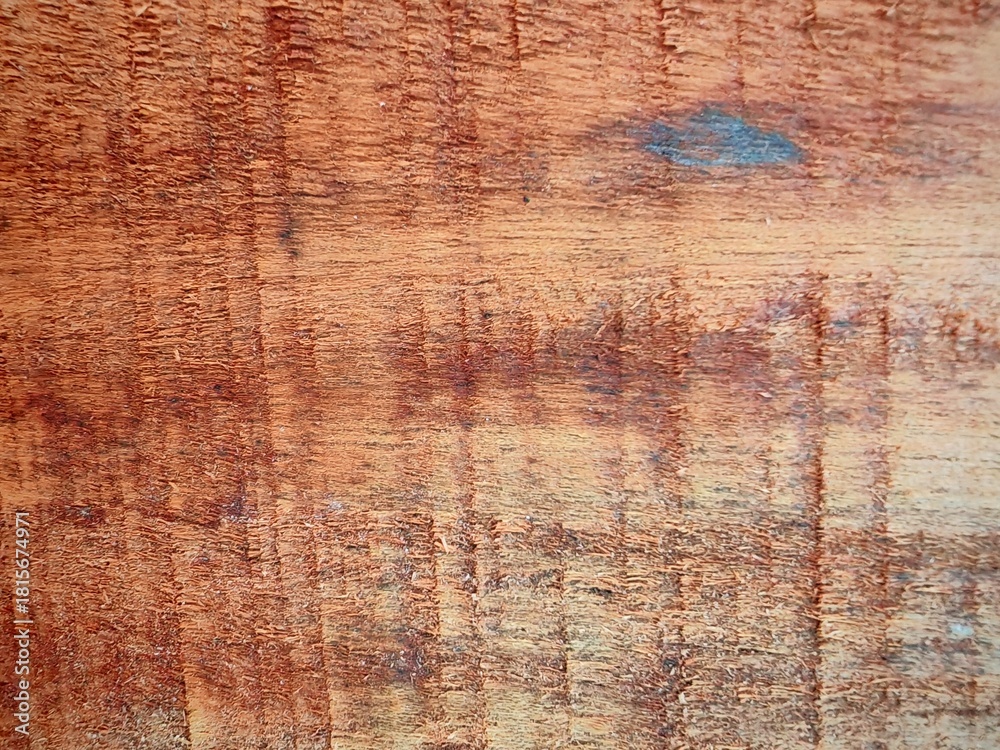 Obraz premium Decaying Tree Stump with Fibrous Texture in Forest