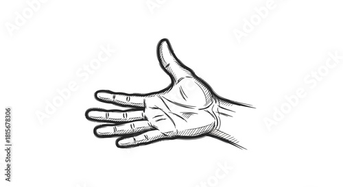 Hand gesture illustration with open palm and thumb up, sketched in black and white.