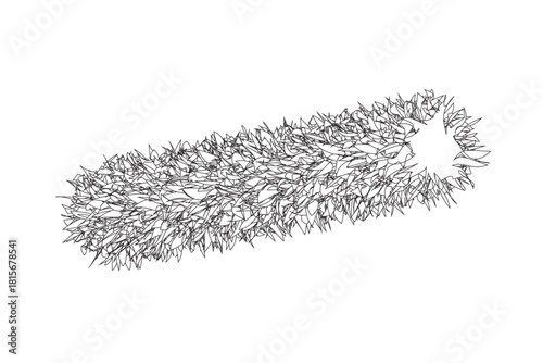 christmas tree decoration