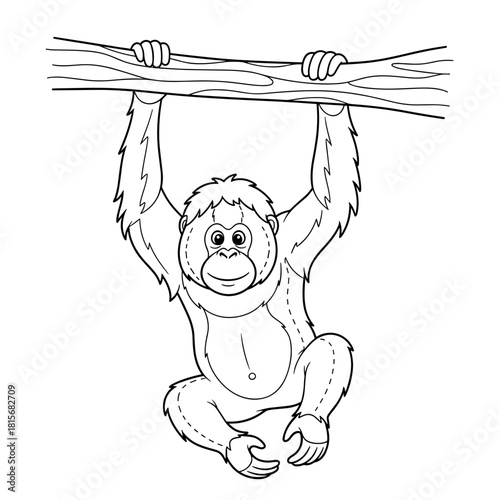 Smiling cartoon orangutan hanging from a branch. Black and white line art for coloring.