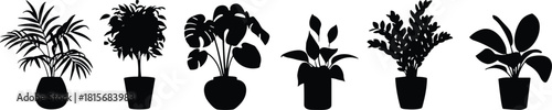 Potted plant silhouette vector set, indoor greenery, black icons, flavector, botanical design, leaf shapes, houseplant decor, nature graphic, foliage art, white background, plant variety