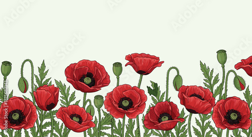 Elegant red poppies with buds and leaves creating a vibrant seamless botanical border for spring designs and creative projects