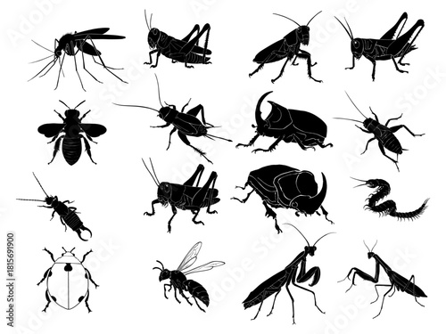 Silhouette of various insects, vector illustration, used for illustration work