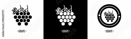 Grape logo set. Collection of black and white logos. Stock vector