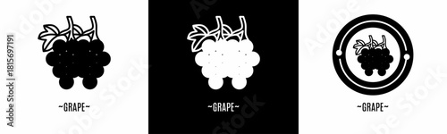Grape logo set. Collection of black and white logos. Stock vector