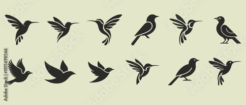 Collection of silhouetted birds in various poses and flight styles against a light background