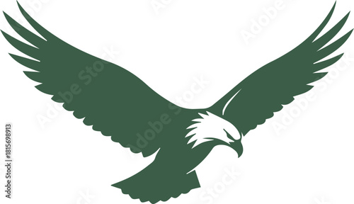 vector illustration of a eagle