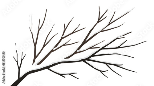 Bare tree branches adorned with a delicate layer of fresh snow, depicting the quiet beauty of winter nature and seasonal change