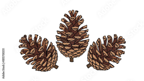 Illustration of three natural brown pine cones, perfect for autumn and winter designs, bringing a touch of the forest