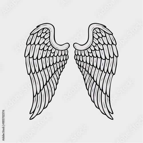 Detailed illustration of angel wings on a white background.