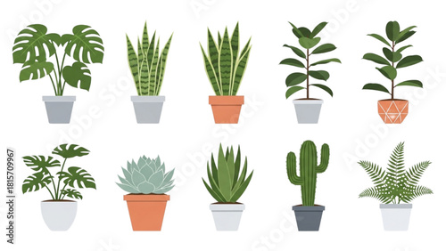 Collection of diverse potted houseplants, ideal for home decor and interior design