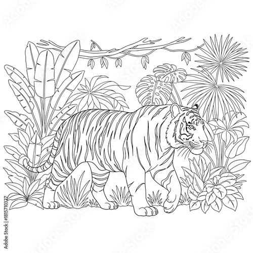 Majestic striped tiger walking in dense jungle foliage. Black and white line art coloring page.