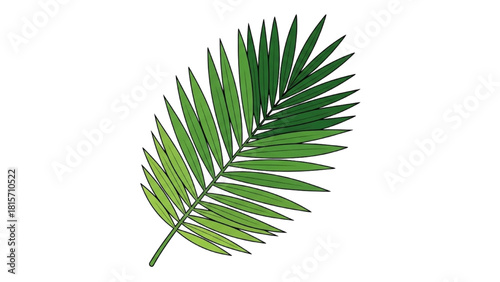 Tropical Palm Leaf Vector Illustration for Nature-Inspired Design Projects