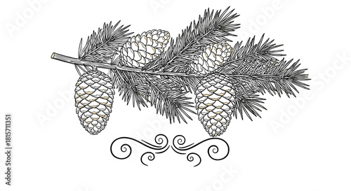 Pine Branch Sketch: A detailed sketch captures the delicate beauty of a pine branch, with textured pine cones. Embodying simplicity and the beauty of natural design.
