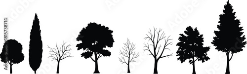 Tree silhouette, black, nature, forest, seasonal, foliage, bare, leafed, outline, botanical, vector, illustration, design, sketch, shape, species, ecology, flora, landscape, comparison