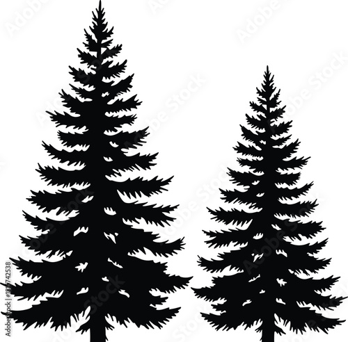 Two realistic black pine tree silhouettes isolated on white background, vector illustration of coniferous spruce for forest landscape and christmas nature design