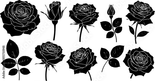 Black Rose Silhouette Variety Vector Set