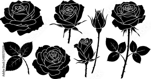 Black Rose Silhouette Variety Vector Set