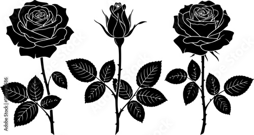 Black Rose Silhouette Variety Vector Set