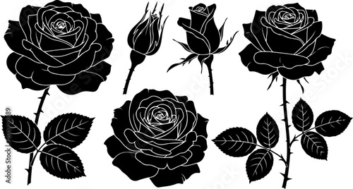 Black Rose Silhouette Variety Vector Set