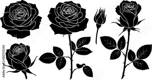 Black Rose Silhouette Variety Vector Set