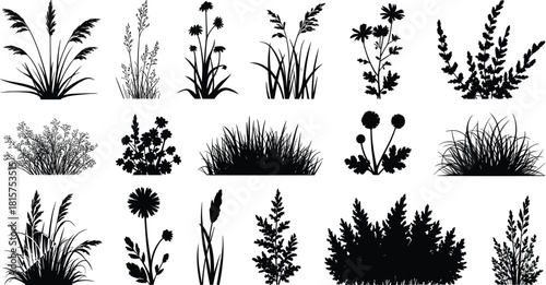 Grass and wild plant silhouette vector set, botanical nature elements for landscape design, garden illustration, eco branding, posters and decoration projects