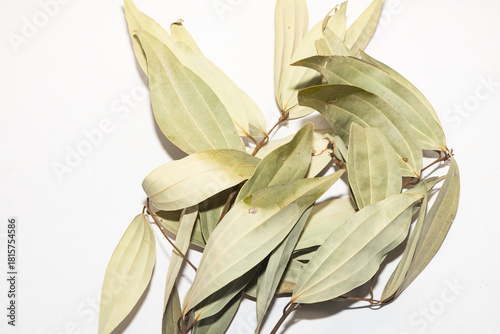 Indian bay leaves (Cinnamomum tamala) offer warm, aromatic, slightly sweet flavors used in Indian cuisine.
