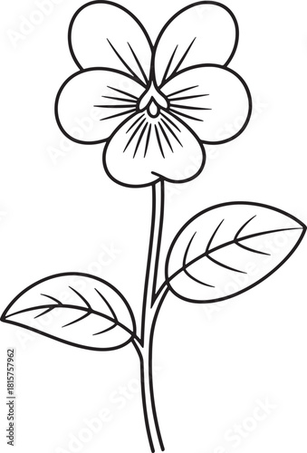 Simple line drawing art of pansy flower with two leaves on plant in vector
