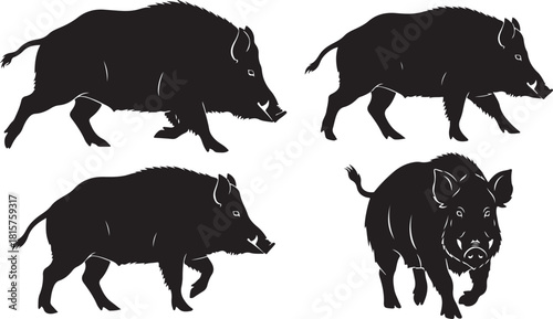 Collection set of four wild boars hogs in various poses running and standing isolated vector graphic illustration asset elements