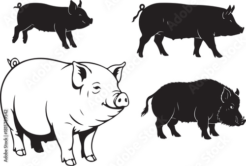 pigs and wild boar silhouettes including line art domestic pig and small piglets standing poses
