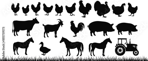 Large collection of farm animal silhouettes including chickens, cows, pigs, goats, horses, and a tractor on a grass border vector set. (20 words)