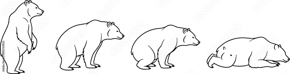 Obraz premium Sequential stages of a bear standing up, moving, and lying down, showing different poses in a simple black outline vector illustration. (20 words)