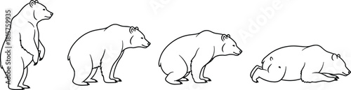 Sequential stages of a bear standing up, moving, and lying down, showing different poses in a simple black outline vector illustration. (20 words)