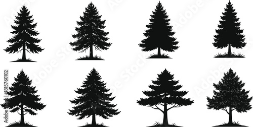 Set of coniferous tree silhouettes featuring pine, fir, and spruce vectors for nature and forest landscape design.