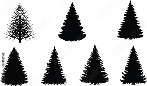 Set of coniferous pine and spruce tree silhouettes with one bare branch vector for forest landscape design.
