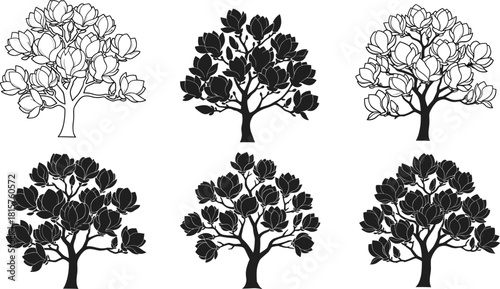Set of six blooming magnolia tree vectors featuring silhouettes and outlines for botanical design logos.
