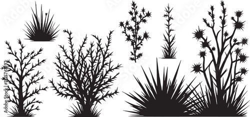 set of bush thorny plant and bare bush, Vector illustration