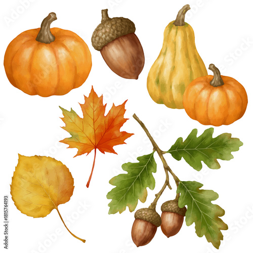 Autumn collection element set with watercolor style. Watercolor of autumn decoration, pumpkins, maple leaf, aspen leaf, and acorns. 