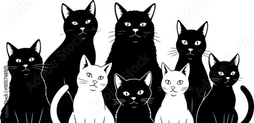 Black Cat Family Silhouette SVG, Cute Cat Group Clipart, Pet Lover Vector Design