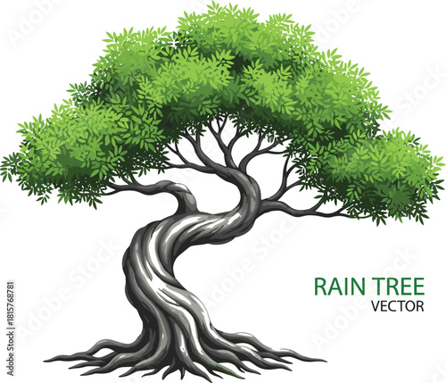 Majestic rain tree vector illustration with a sweeping, twisted trunk and lush green canopy, symbolizing growth, tropical nature, and strong roots.