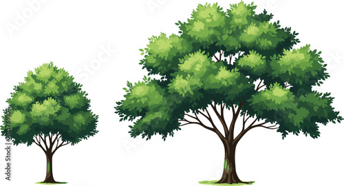 Set of two green deciduous trees vector illustration, showing mature and young stages, perfect for landscape design, nature, and environmental concepts.