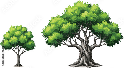Vector illustration comparing small and colossal green trees, featuring a hollowed, gnarled ancient trunk, symbolizing longevity, nature's power, and ecosystem life.