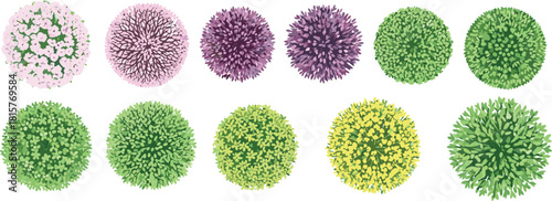 Top View Ornamental Plants Vector Set for Garden Layouts and Architecture: Includes Pink, Purple, Yellow, and Green Circular Shrubs and Flowers.